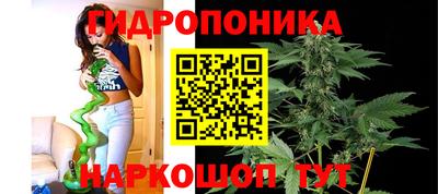 гашишное масло Гусиноозёрск