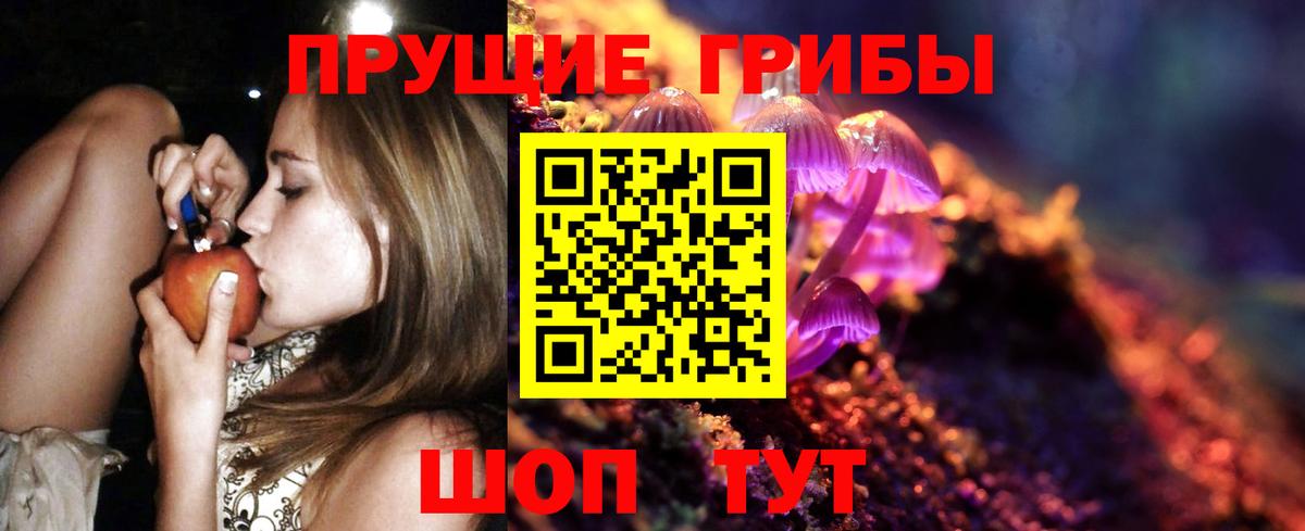 Псилоцибиновые грибы мицелий Малгобек